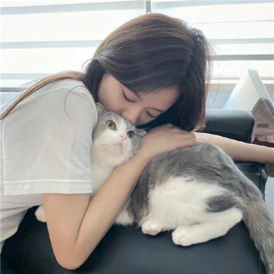 玫瑰楼迷影